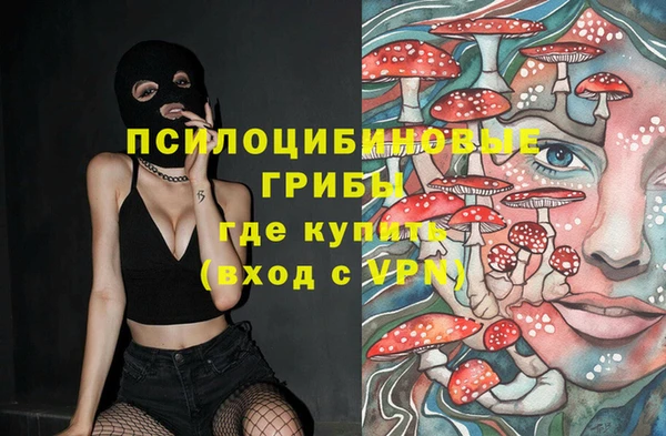 МДПВ Алексин